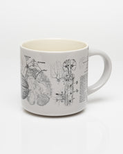 Brain Anatomy 430 mL Ceramic Mug