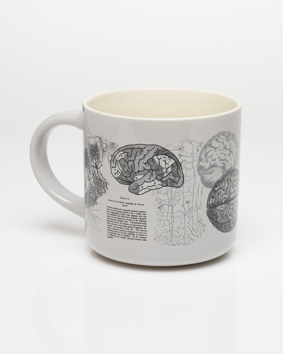 Brain Anatomy 430 mL Ceramic Mug