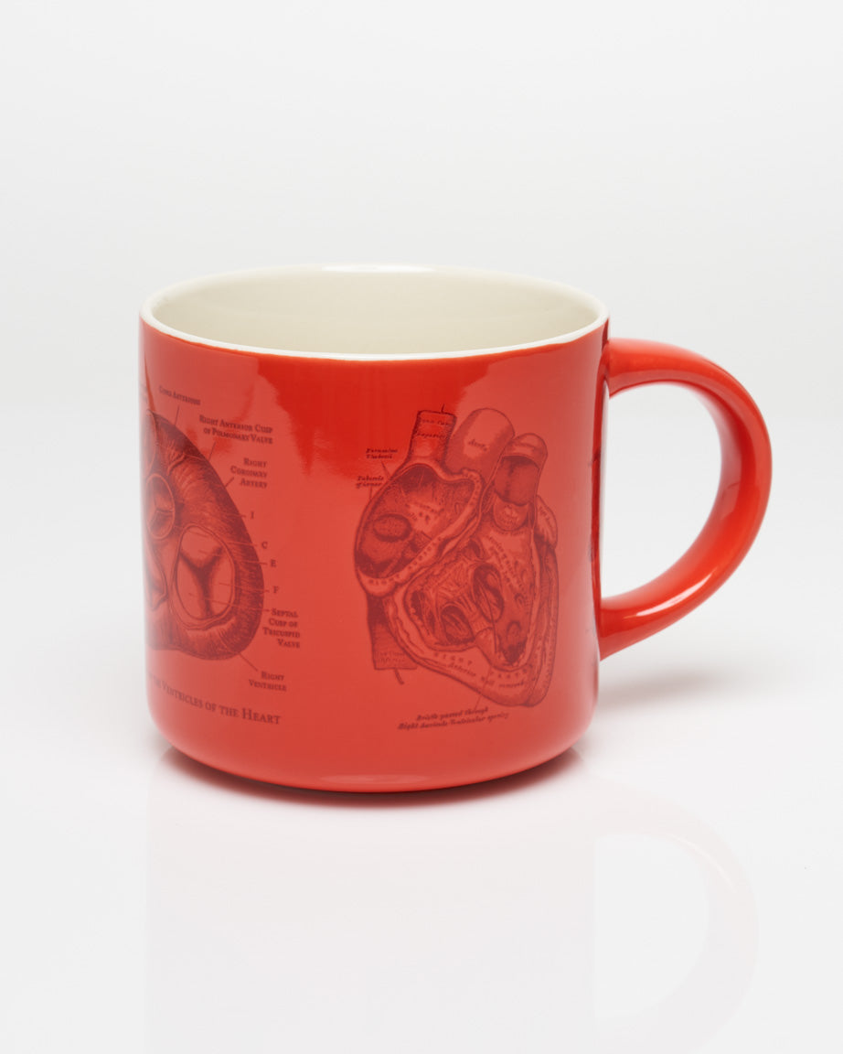 Heart Anatomy 430 mL Ceramic Mug