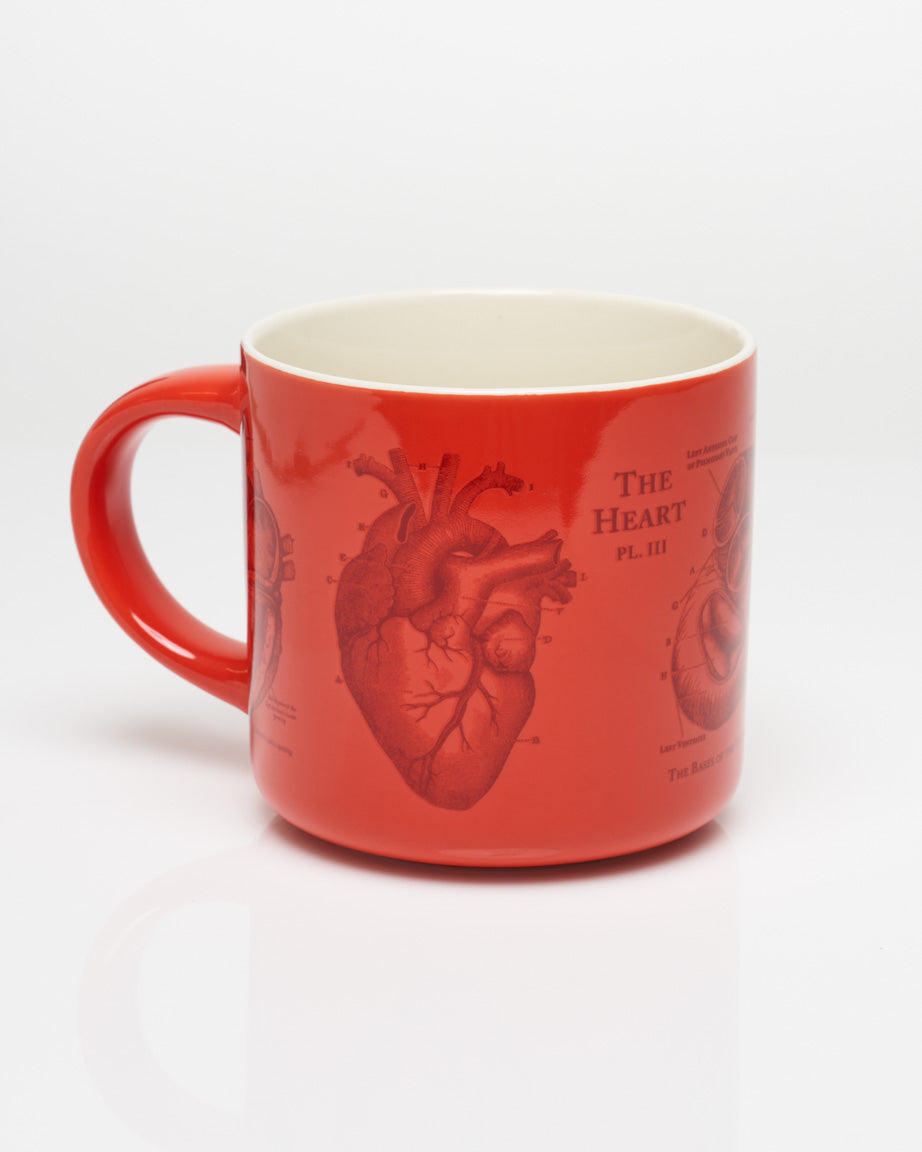 Heart Anatomy 430 mL Ceramic Mug
