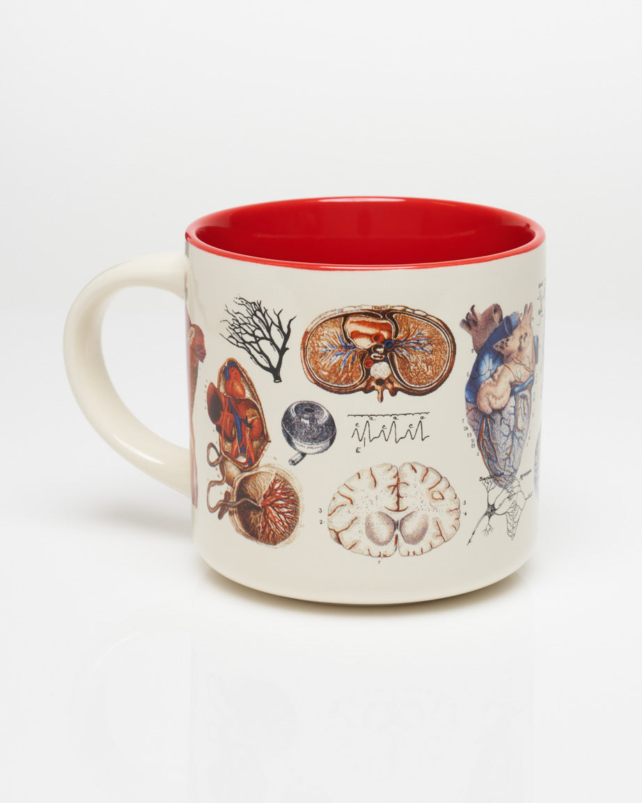 Vascular Anatomy 430 mL Ceramic Mug