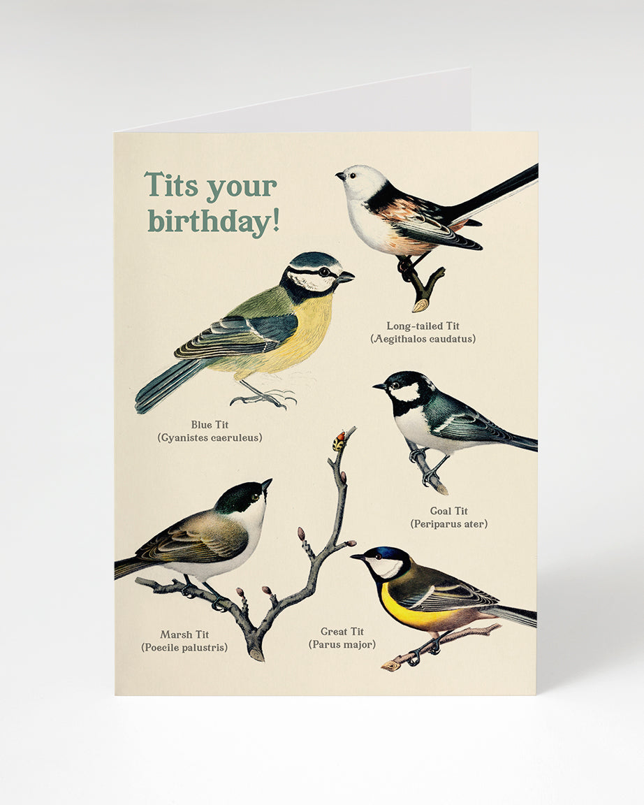 GCBirthdayTits Greeting Card