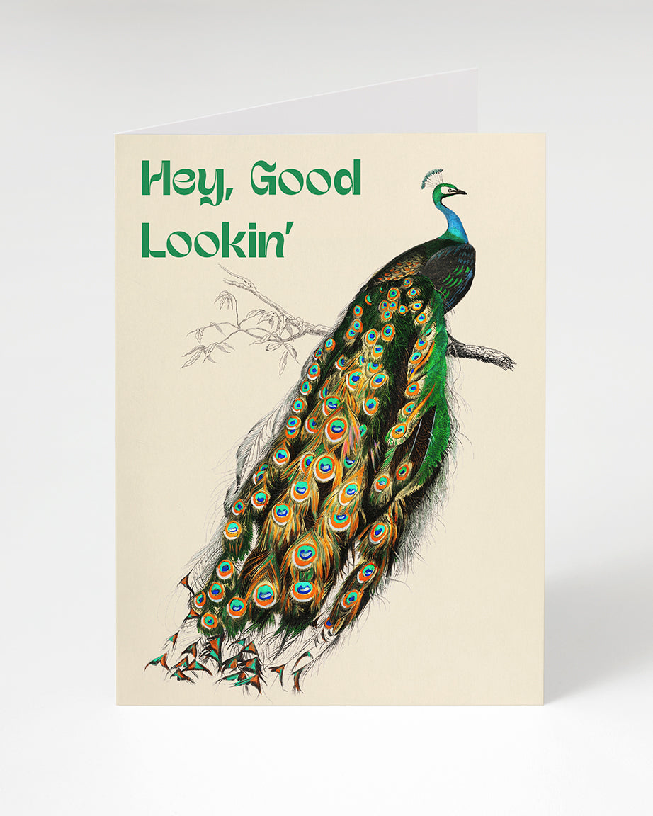 Good Looking Peacock Greeting Card