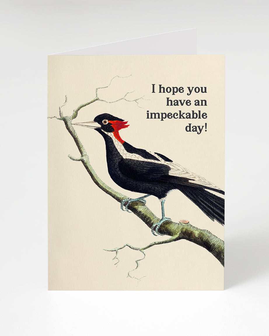 Impeckable Day Greeting Card