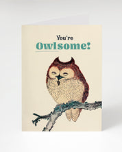 Owlsome Greeting Card