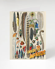 Plumage Greeting Card