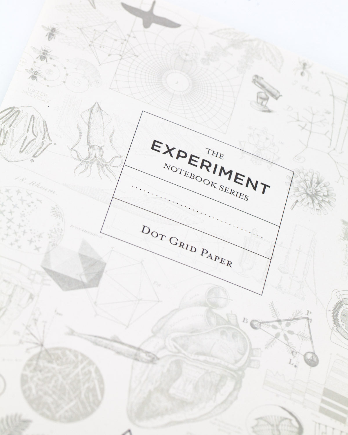 The Moon Softcover Notebook - Dot Grid