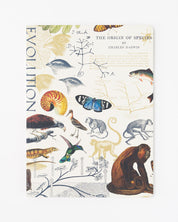 Theory of Evolution Softcover Notebook - Lined