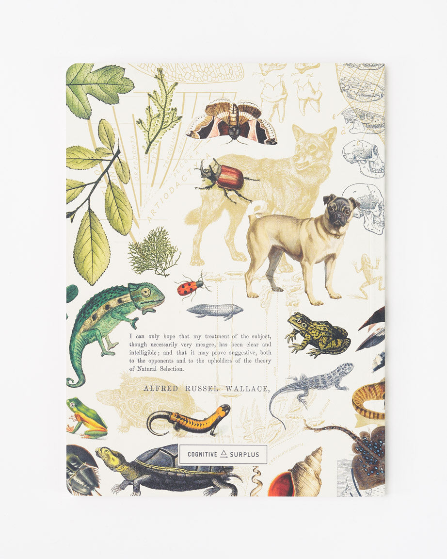 Theory of Evolution Softcover Notebook - Lined