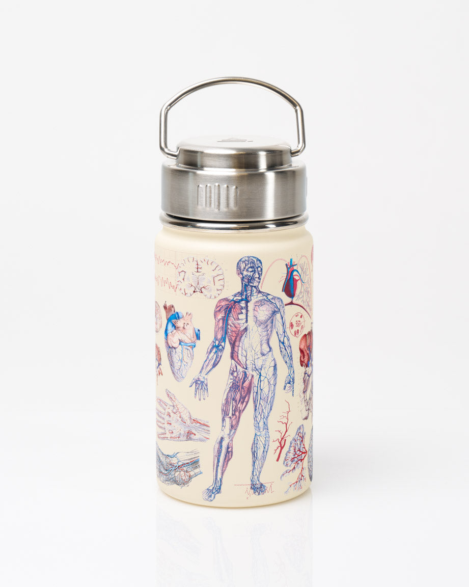 Human Anatomy Stainless Steel Vacuum Flask / Insulated Travel Thermos   Cognitive Surplus Global