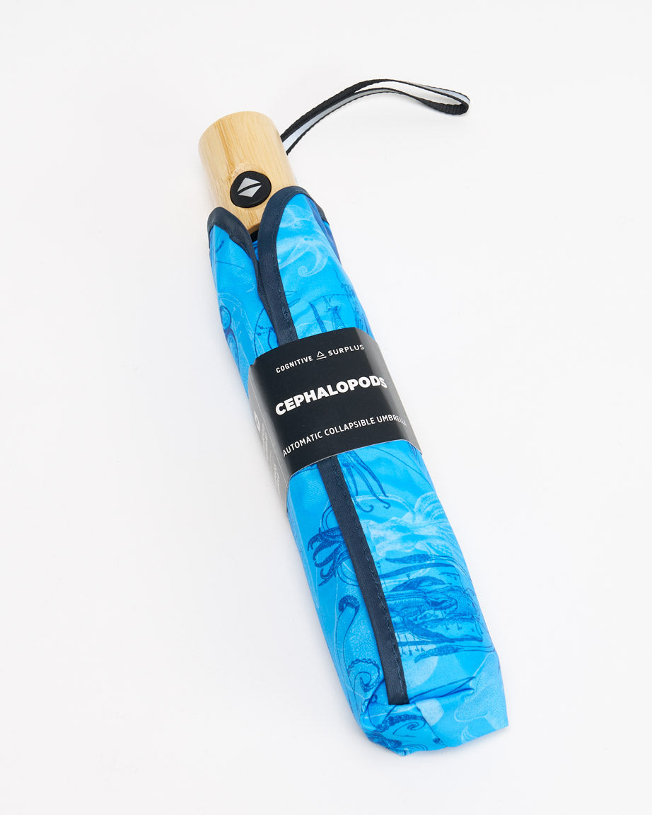 Cephalopods Umbrella