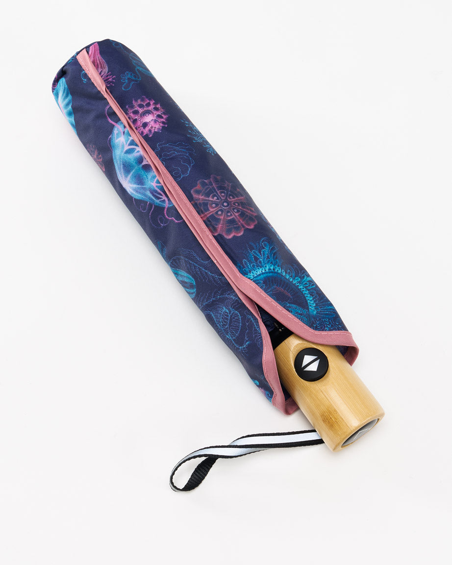 Haeckel Jellyfish Umbrella