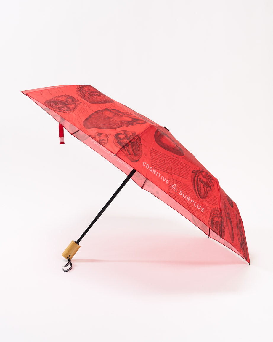 Anatomical Heart Umbrella