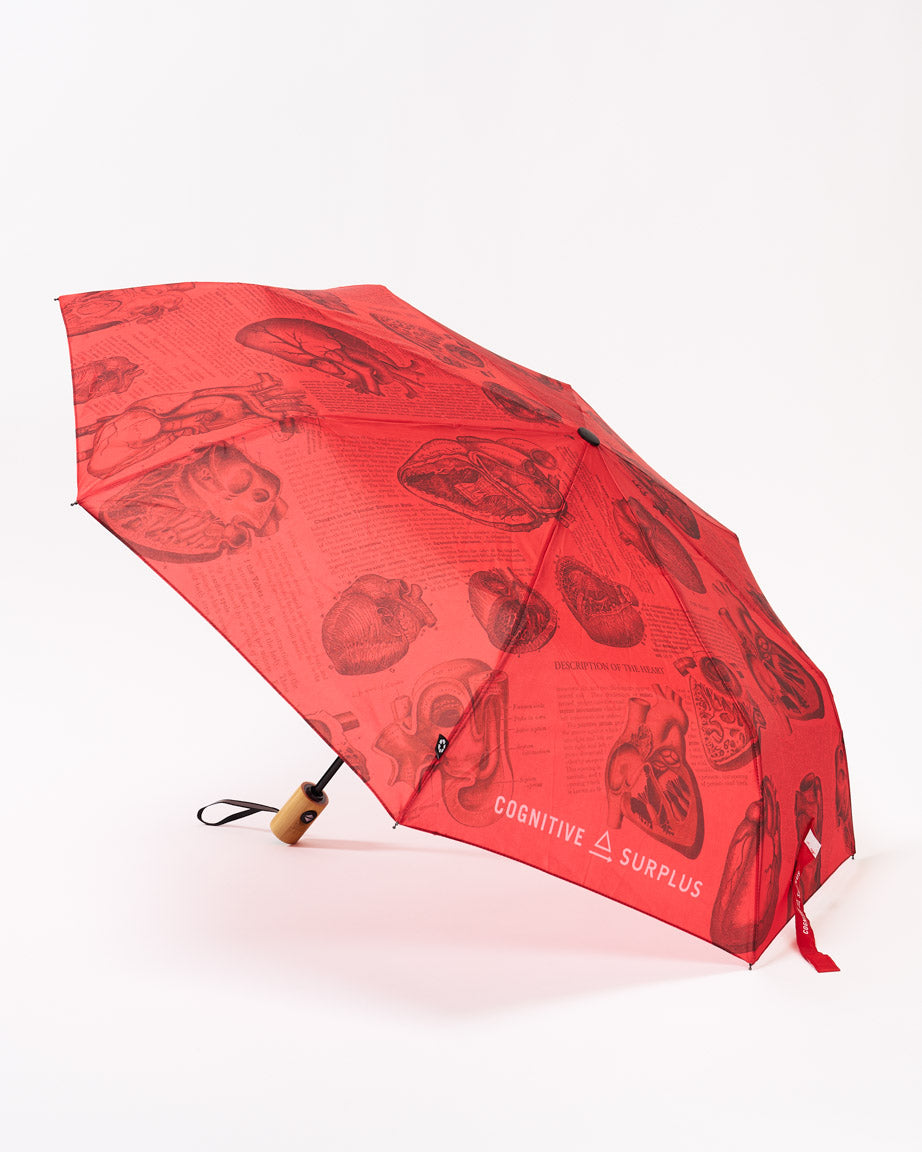 Anatomical Heart Umbrella