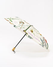 Medicinal Botany Umbrella