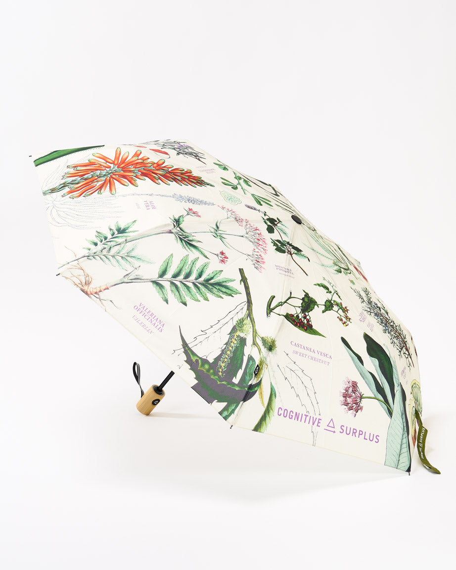 Medicinal Botany Umbrella