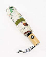 Medicinal Botany Umbrella