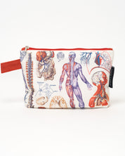 Anatomy Pencil Bag