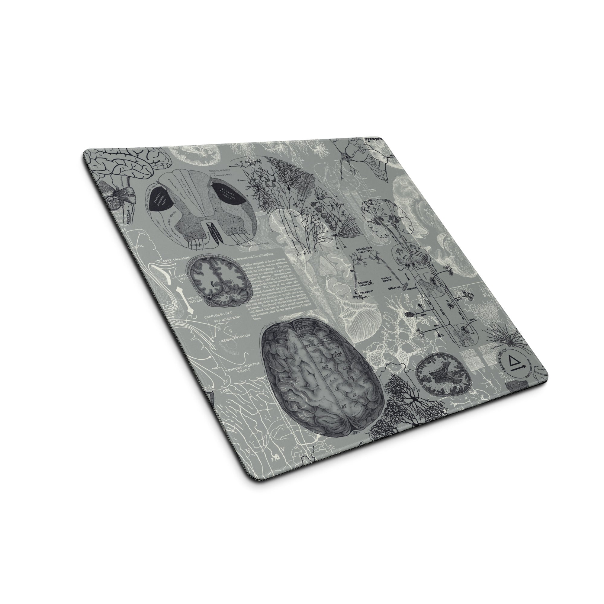 Brain Anatomy Gaming Mouse Pad