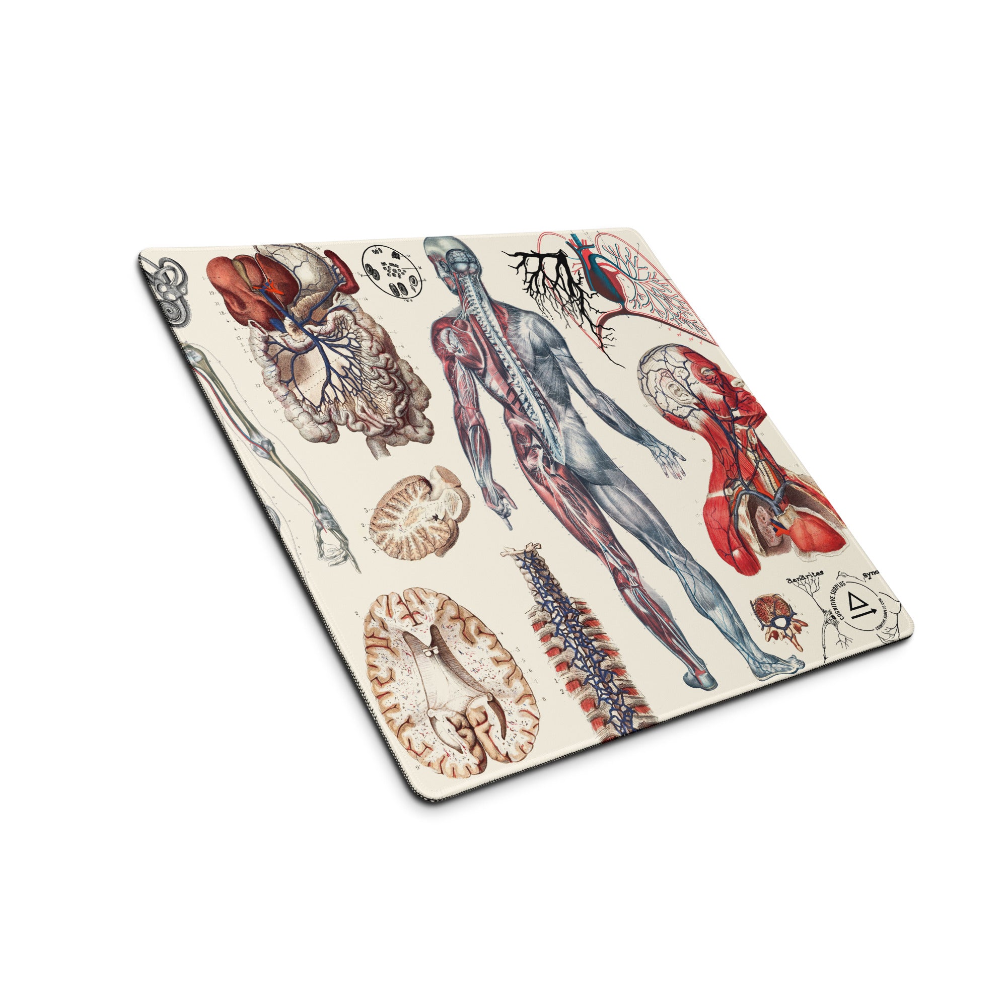 Anatomy Gaming Mouse Pad