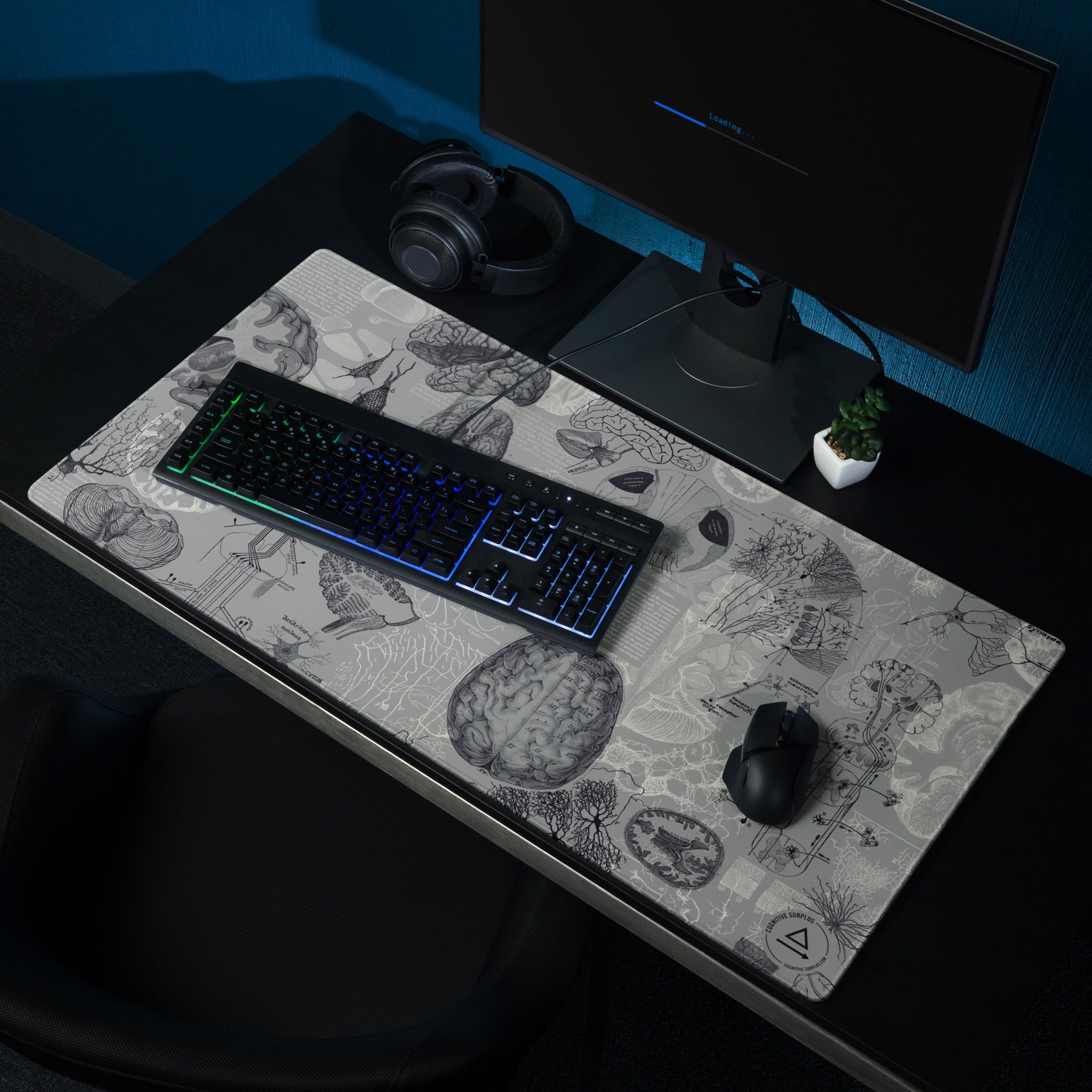 Brain Anatomy Gaming Mouse Pad