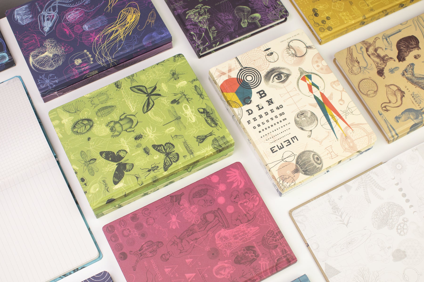 Cognitive Surplus EU Gift Card