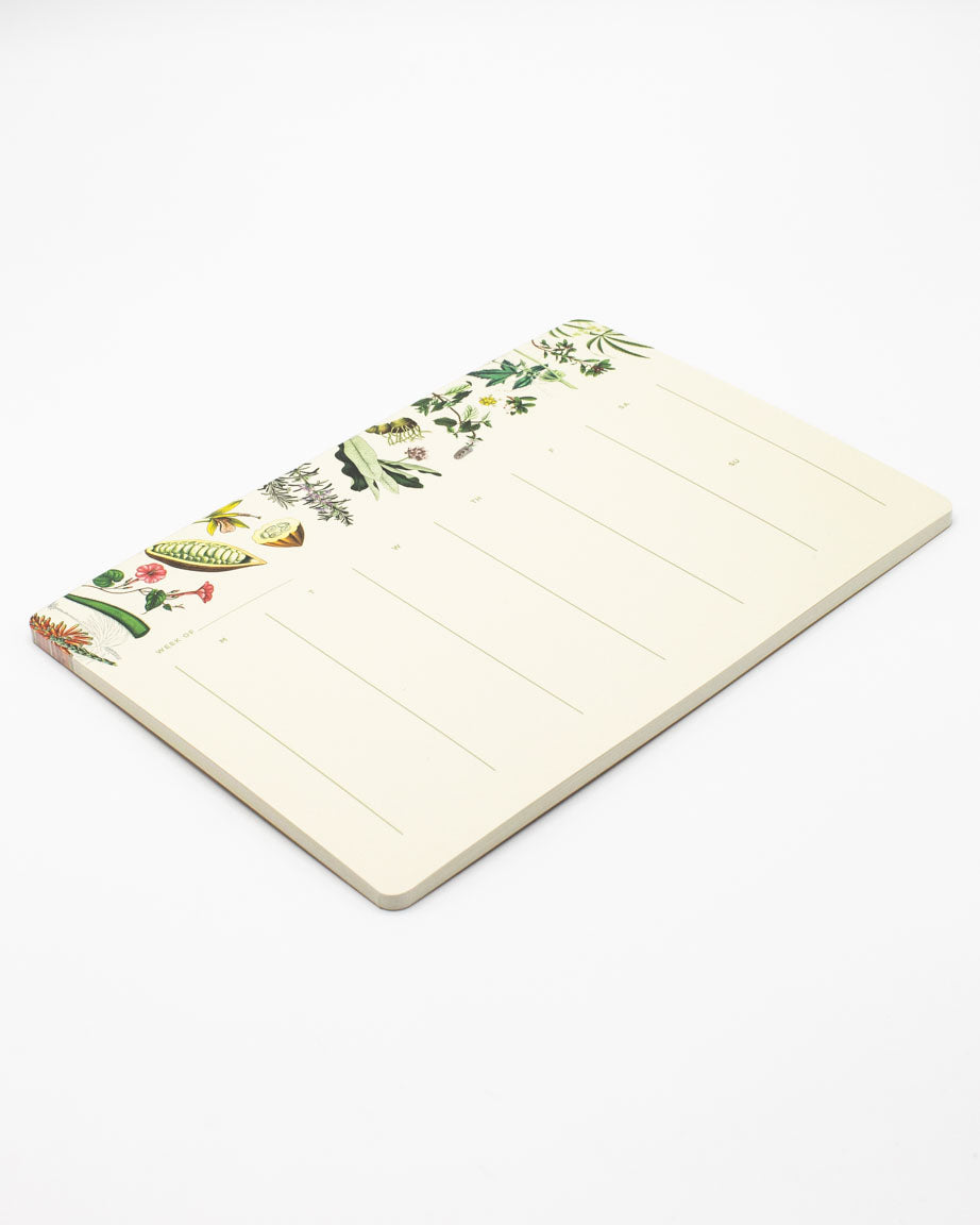 Medicinal Botany Notepads