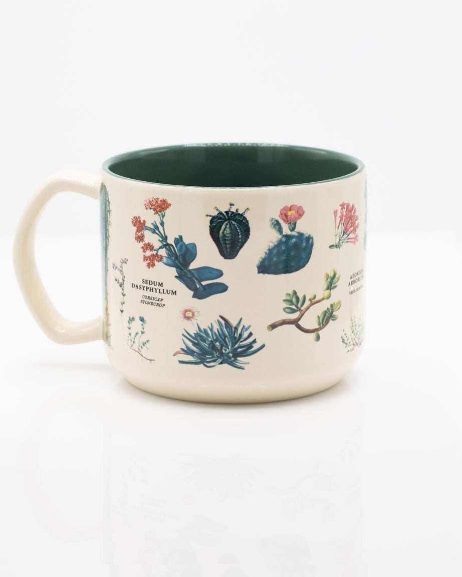 Succulents 430 mL Ceramic Mug
