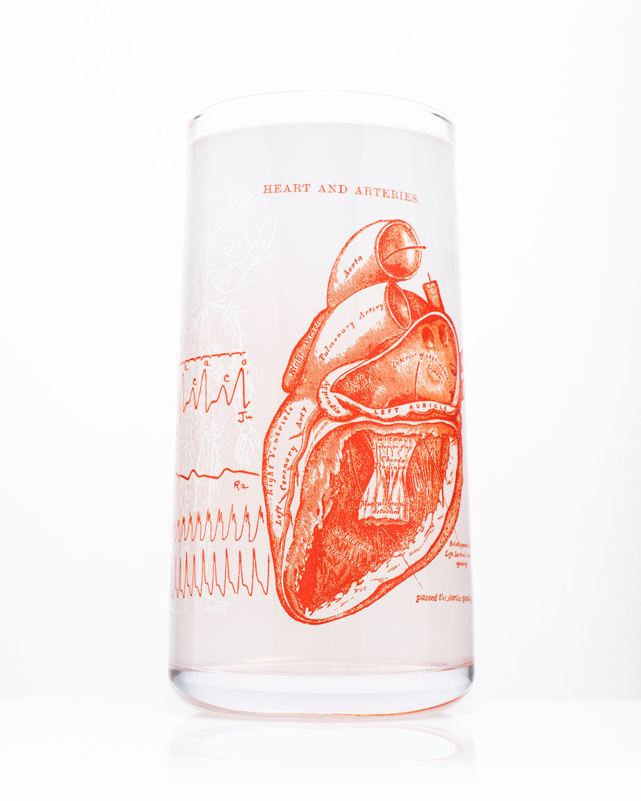 Anatomical Heart Drinking Glass
