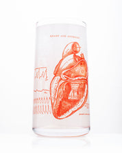 Anatomical Heart Drinking Glass