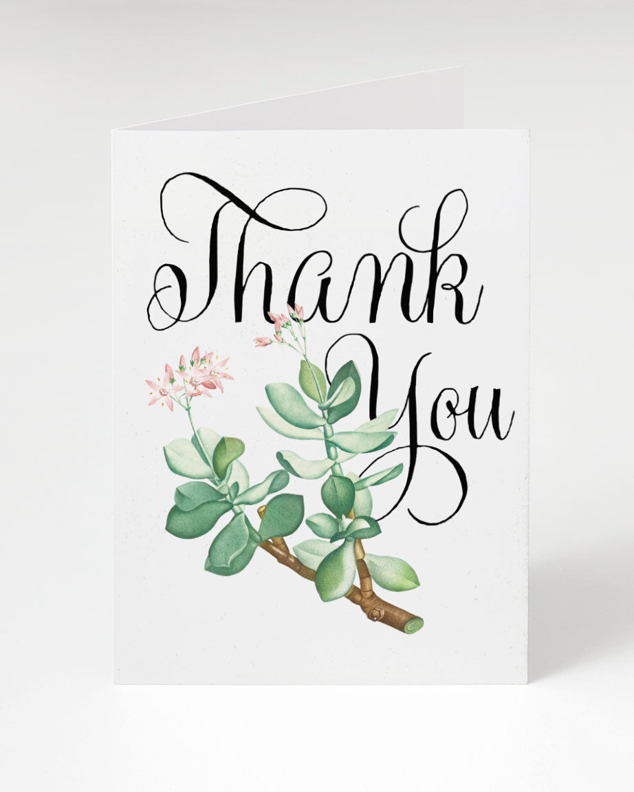 Succulent Thank You Card