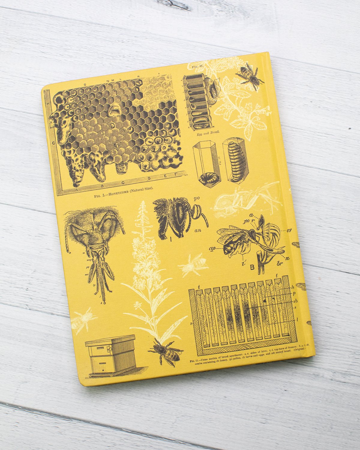 Bees Hardcover - Dot Grid - Cognitive Surplus