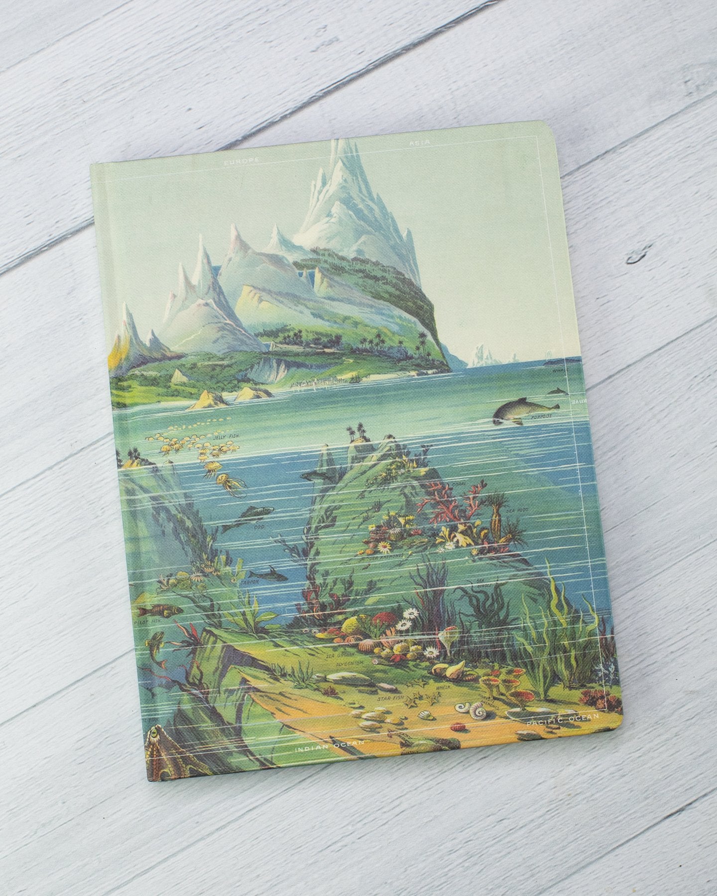 Descending Regions Hardcover - Lined/Grid - Cognitive Surplus