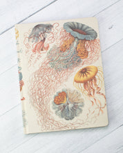 Haeckel Jellyfish Hardcover Notebook - Lined/Grid