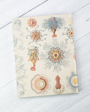 Haeckel Jellyfish Hardcover Notebook - Lined/Grid