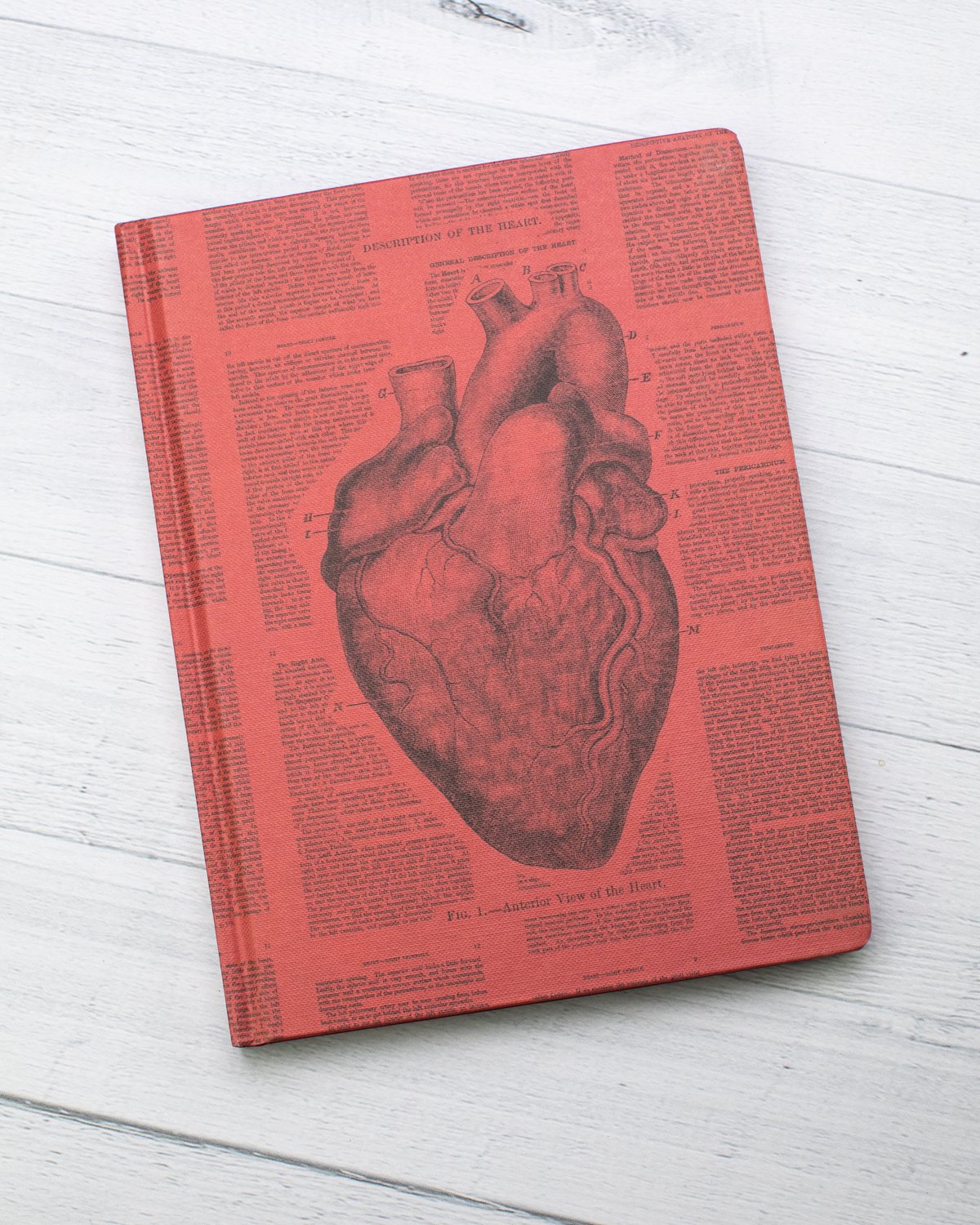 Anatomical Heart Hardcover - Lined/Grid - Cognitive Surplus
