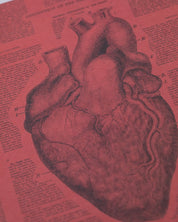 Anatomical Heart Hardcover - Lined/Grid - Cognitive Surplus