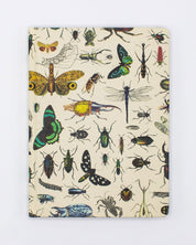 Insect Hardcover Notebook - Lined/Grid