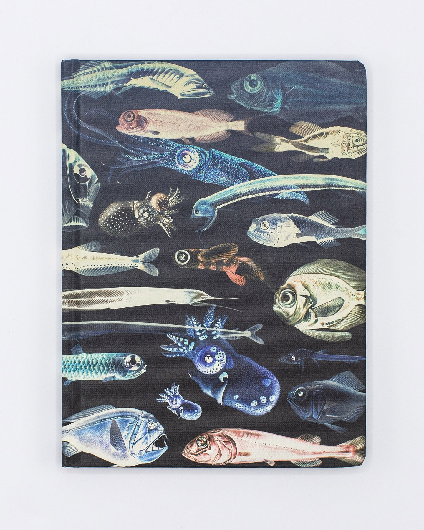 Deep Sea Hardcover Notebook - Lined/Grid