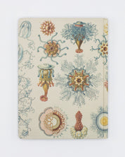 Haeckel Jellyfish Hardcover Notebook - Lined/Grid