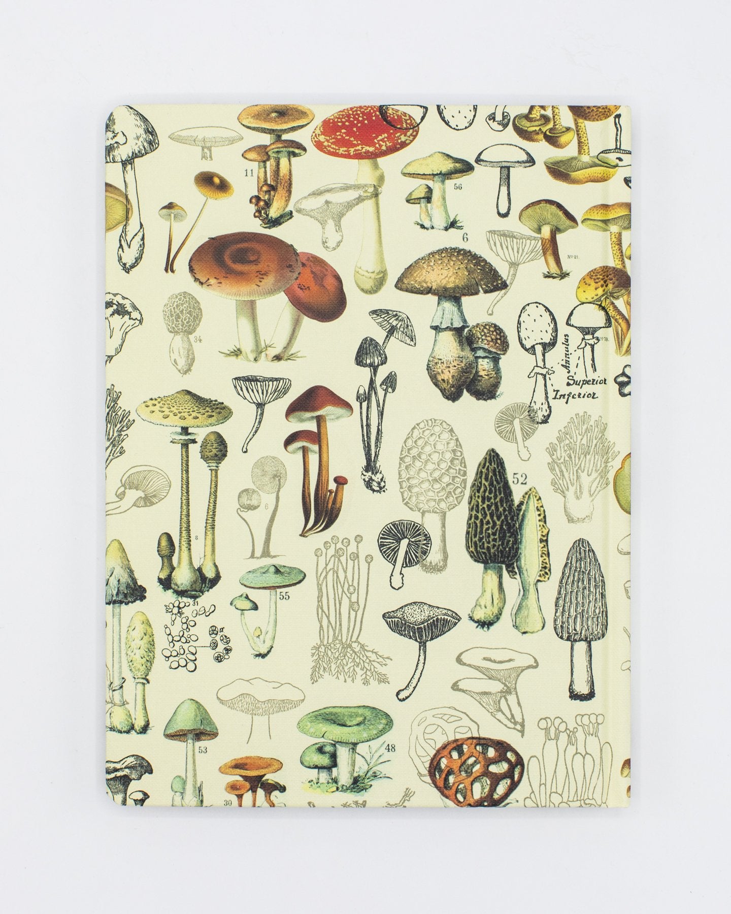 Mushrooms Pl 2 Hardcover Notebook - Lined/Grid
