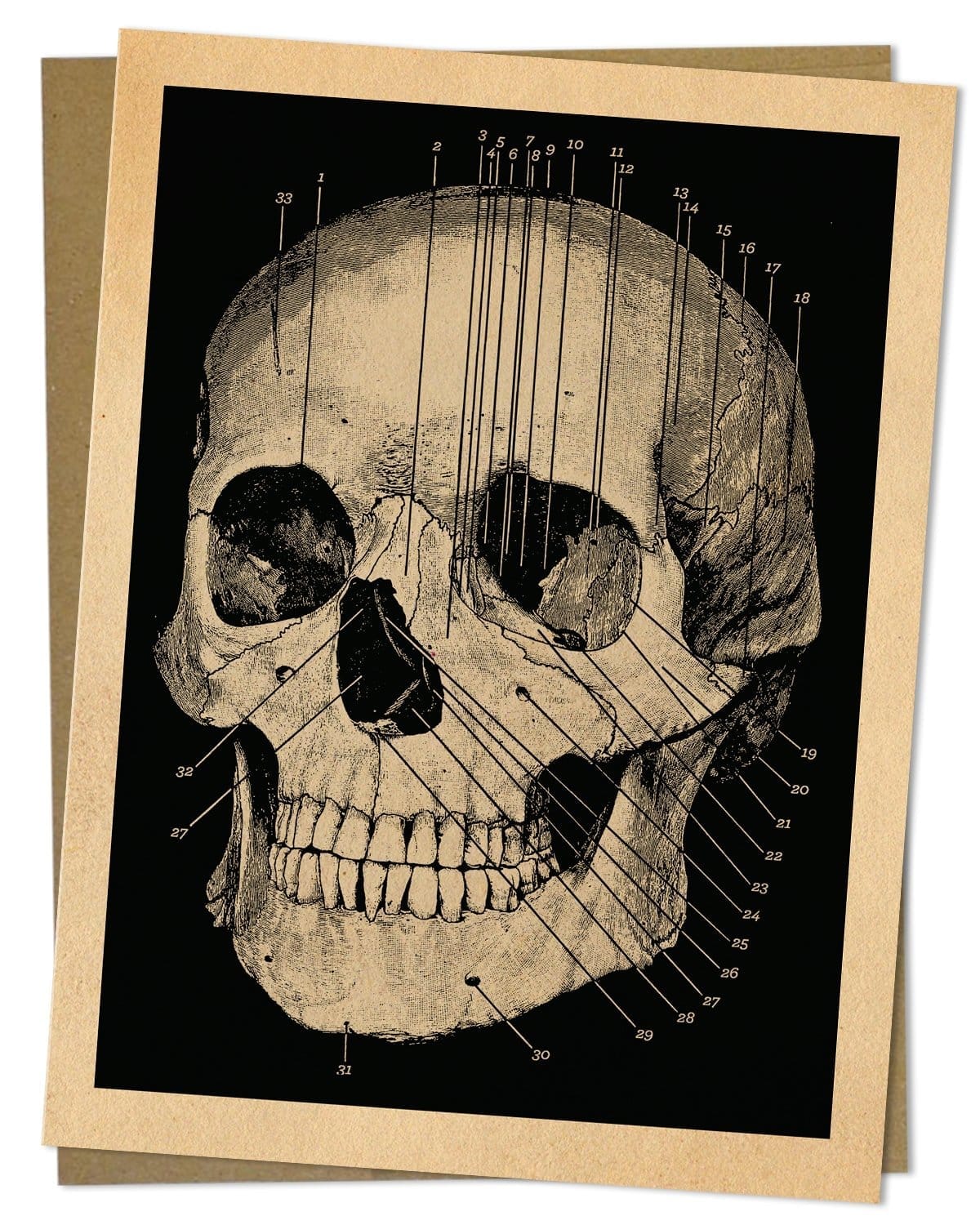 Human Skull Card Cognitive Surplus