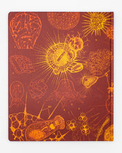Microbiology Lab Notebook