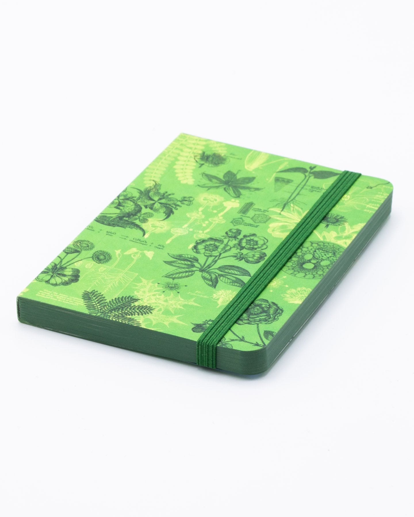 Botanical Reverie Observation Mini Softcover Notebook