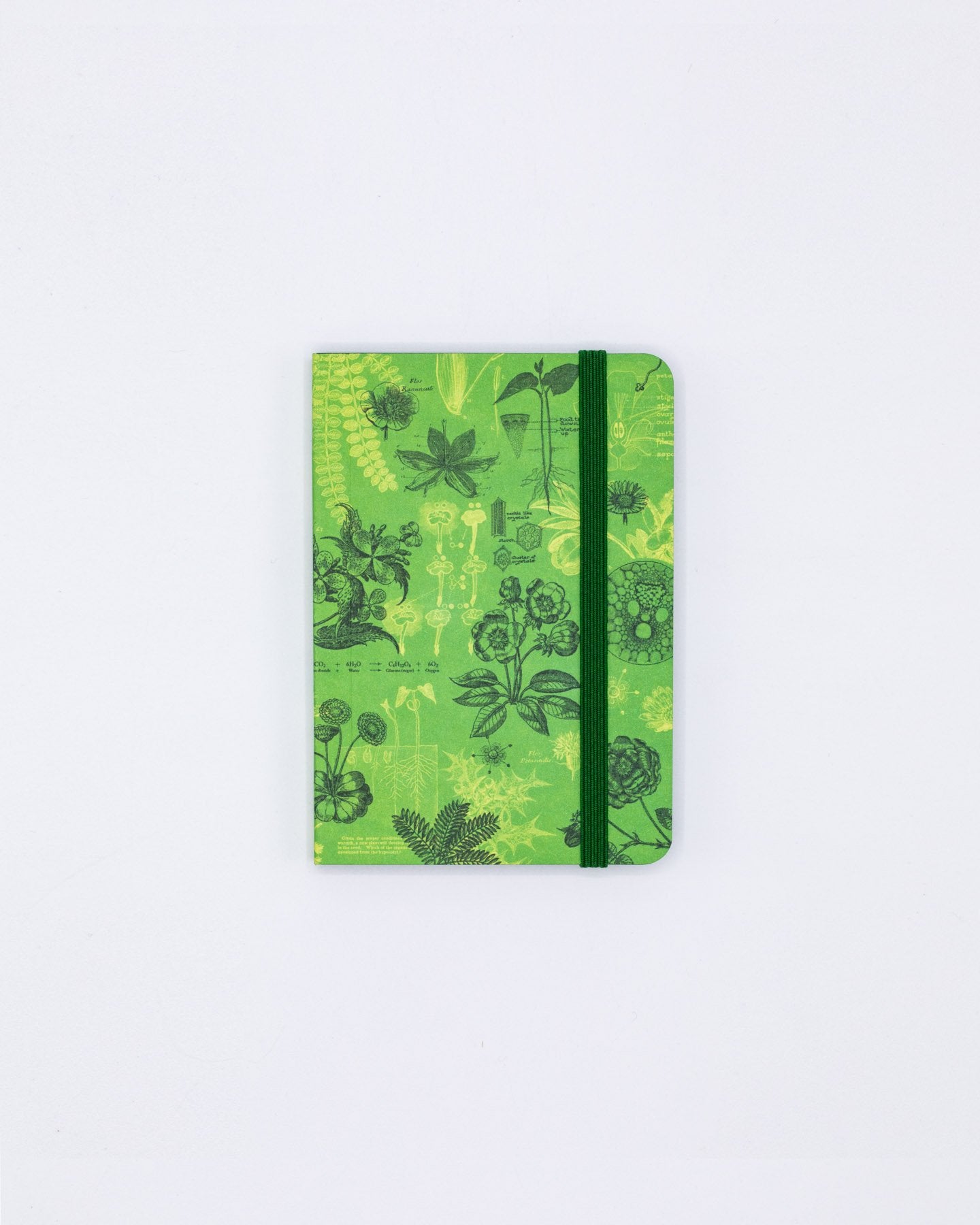 Botanical Reverie Observation Mini Softcover Notebook