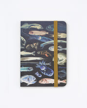 Mysteries of the Deep Observation Softcover