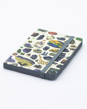Gems & Minerals Observation Mini Softcover Notebook