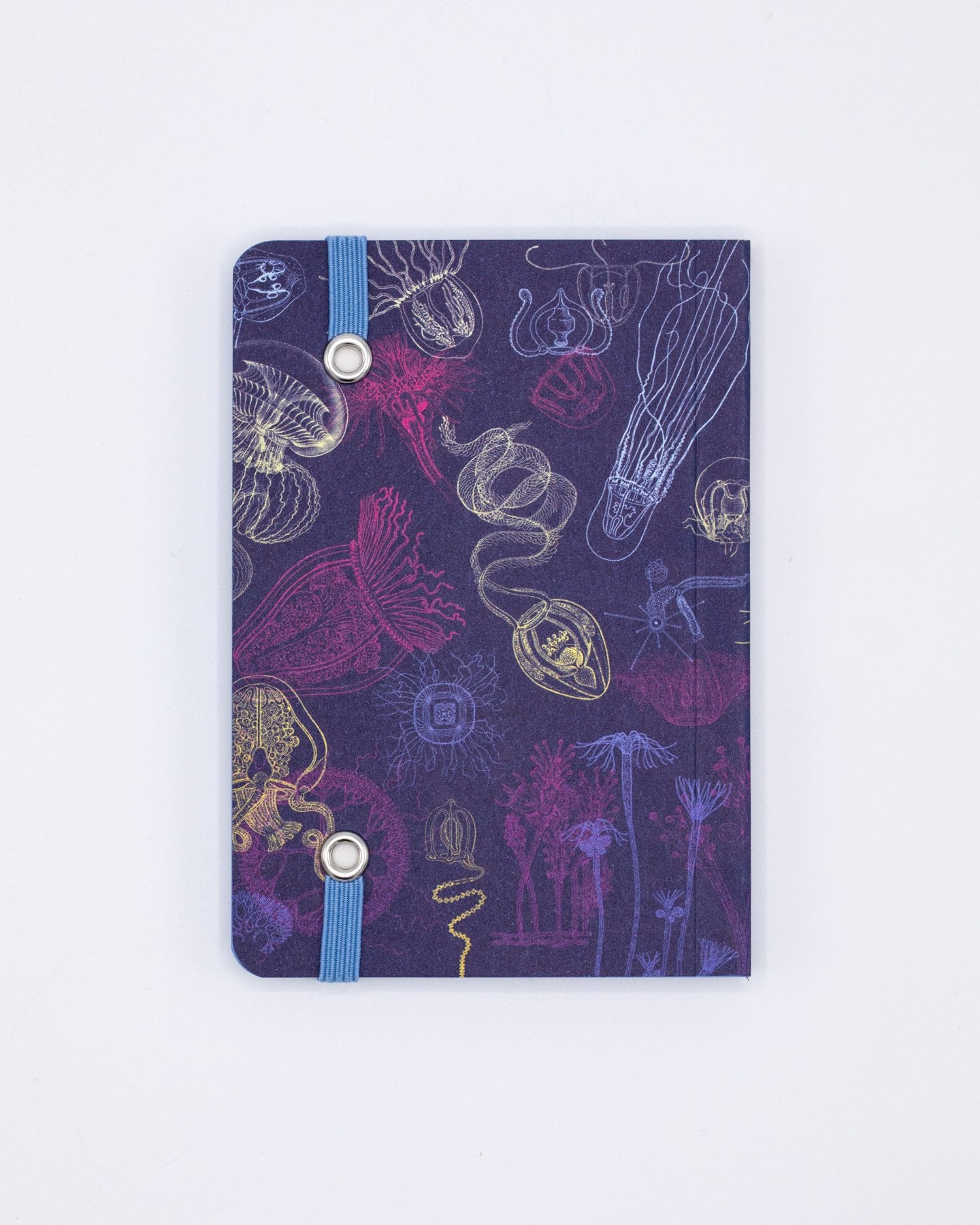 Go With the Flow Jellyfish Observation Mini Softcover Notebook