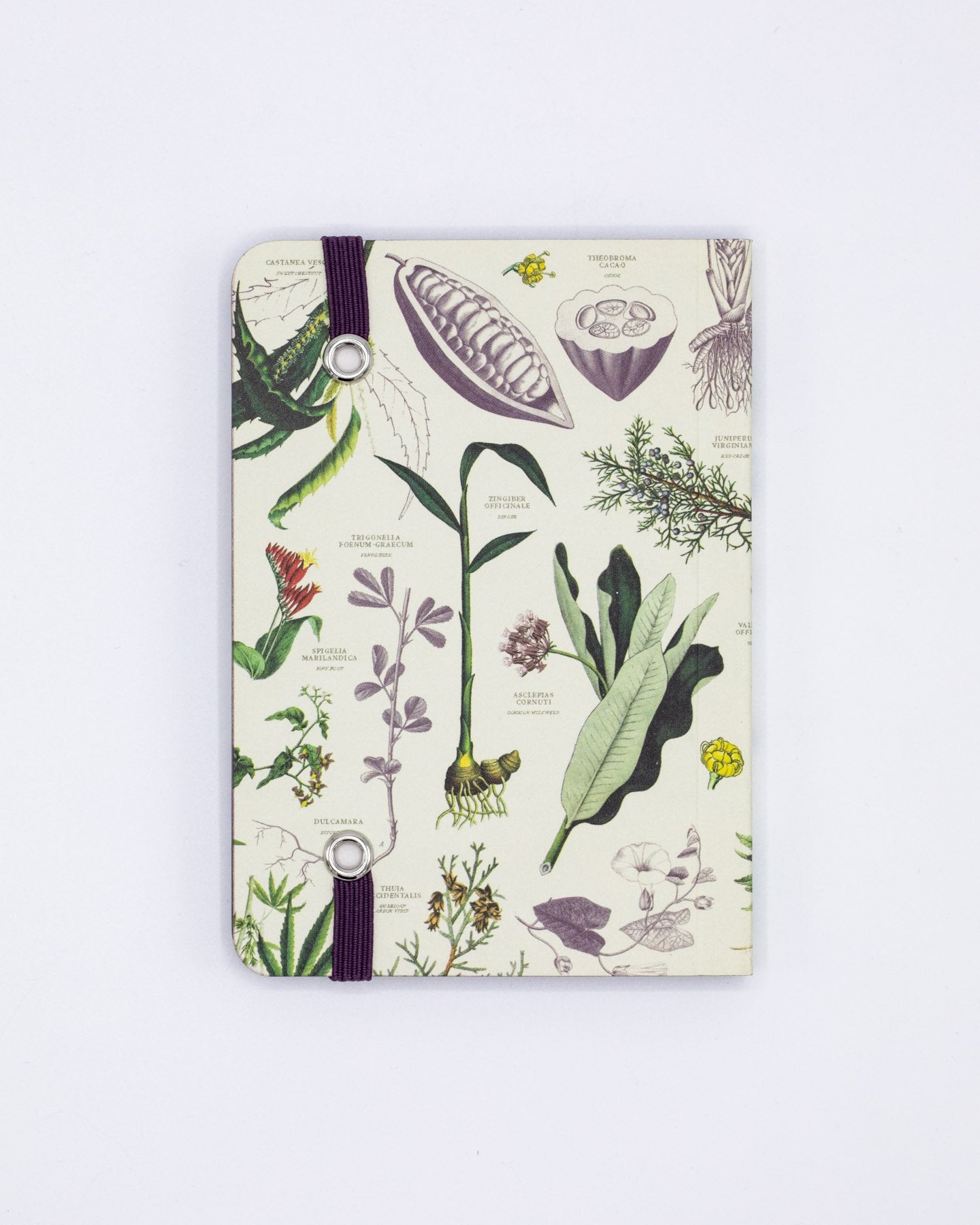 Medicinal Botany Observation Mini Softcover Notebook