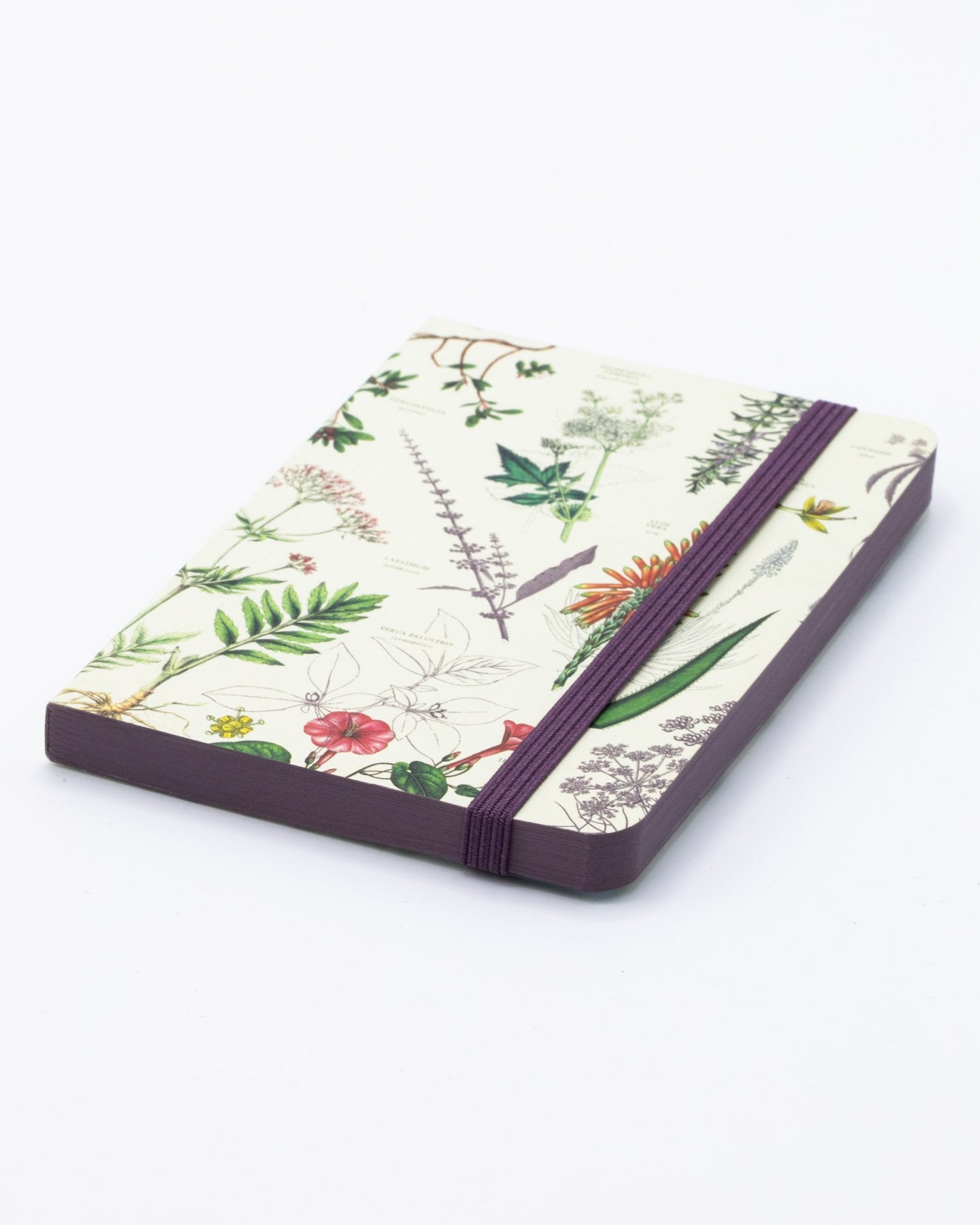 Medicinal Botany Observation Mini Softcover Notebook